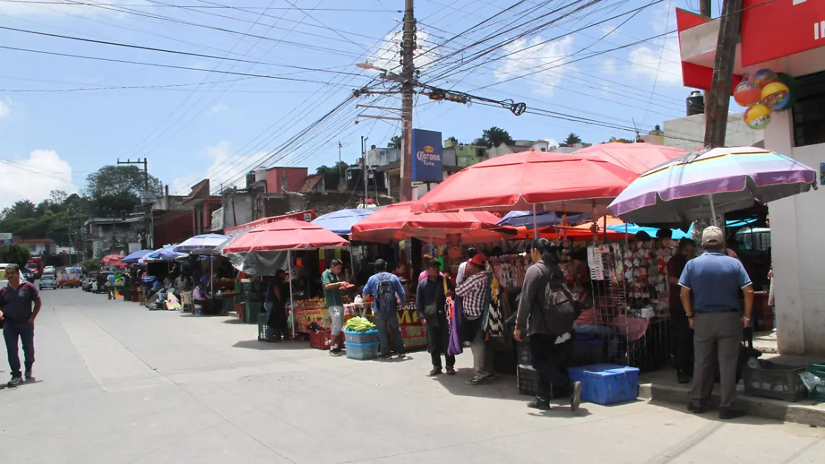 JE07082023289Tianguis-Col Veracruz